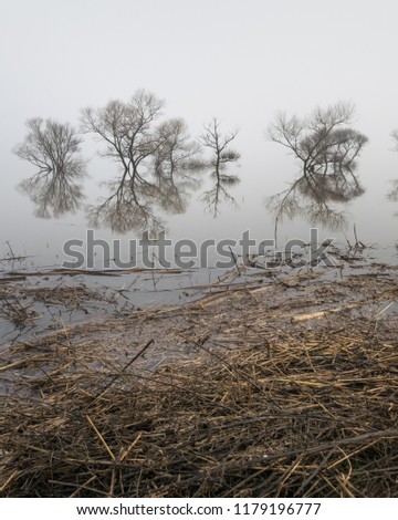 Beautiful landscape picture of a tree in a flooded lake on a moody misty early spring morning