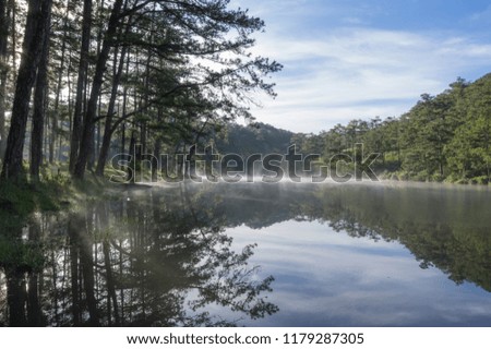 pine forest reflection on the lake at sunrise. Pictures use for advertising, design, printing, background and cover