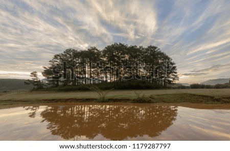 pine forest island reflection on the lake at sunrise with magic of sky and clouds. Pictures use for advertising, design, printing, background and cover
