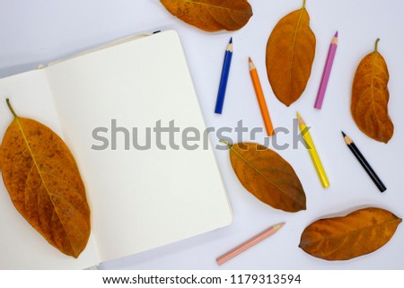 Blank sketchbook page and autumn leaves on white background. Fall season art mockup with white paper notebook. Empty planner page and colorful crayons table top view. Autumn flat lay with text place