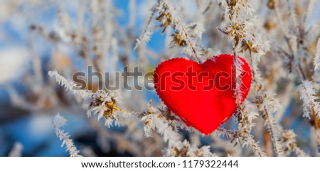Red heart on snow background. Valentine's Day. Red heart on snowy tree branch in winter. Holidays happy valentines day celebration love concept.