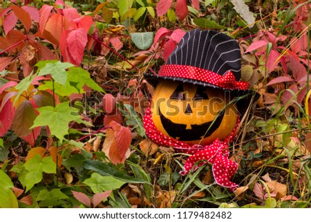 Funny Halloween Pumpkin on the autumn grass 
