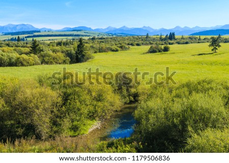 Green meadow in Czarny Dunajec village in Tatra Mountains summer landscape, Poland