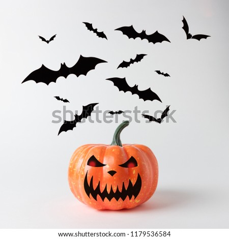 Halloween pumpkin with bats on white background. Halloween minimal concept.