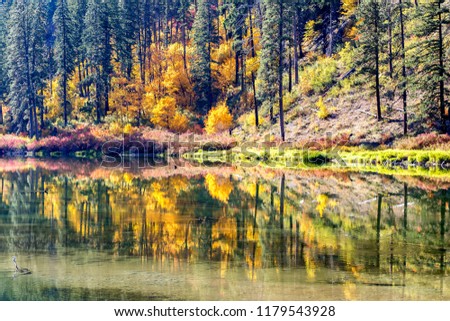 Autumn Background in Leavenworth, WA-USA 