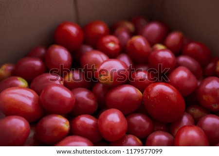 fresh colored tomatoes of different shapes in a cardboard box for transportation, collected on the farm. vegetables with defect: dark spots and cracks. a lot of tomatoes for vegetarian salads