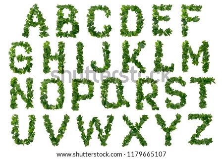 Alphabet made from green parsley leaves on a white background. isolated