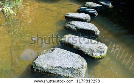 Stepping stones path over a pond