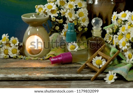 Daisy ,fresh flowers in vase and used to extract for skin care treatment.