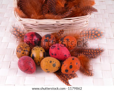 painted quail eggs and feathers