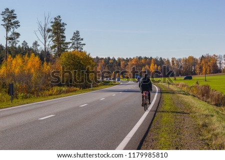 View of an asphalt road in a sunny autumn day, perspective, autumn colors
