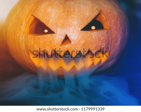 Halloween pumpkin on black wooden background