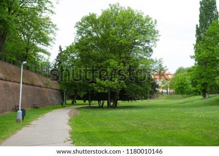 benches in the park with green tree and a brick wall. green grass in the road