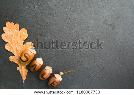 Autumn sale decoration with acorns and one dry oak leaf on black background with copy space, flat lay, top view
