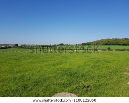 Post in a green field
