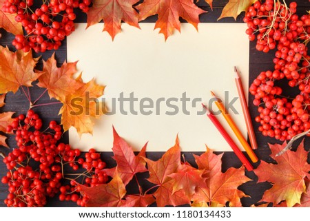 Autumn leaf composition for picture frame. Copy space