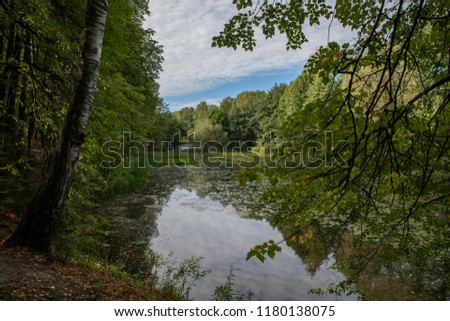 Landscape. Beautiful view of the river and mirrored in her forest