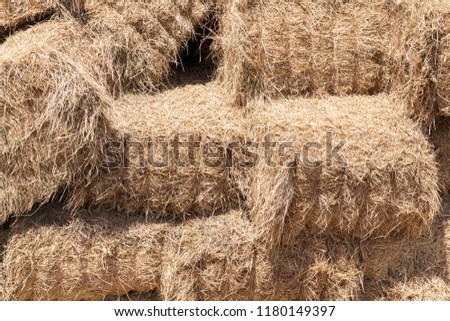 square tightly bound straw stacks that are stored indoors, closeup
