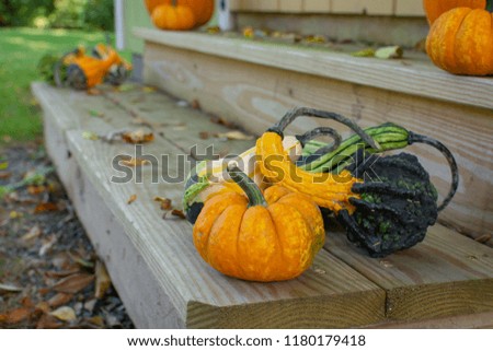 A few gourds placed on each end of outdoor steps with leaves on them.