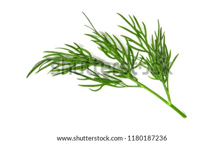 A small fragment of a dill branch isolated on a white background a macro shot of a top view Royalty-Free Stock Photo #1180187236