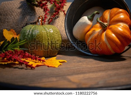 Thanksgiving Halloween pumpkins in rustic background with copy space