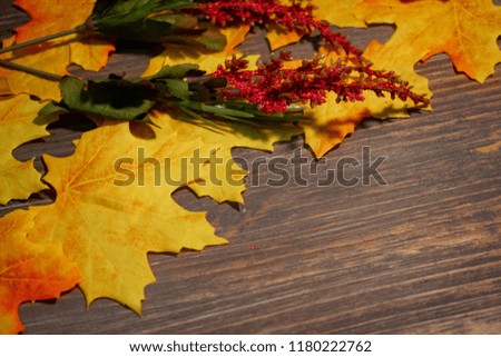Rustic fall decoration background with copy space 