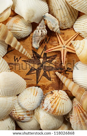 Abstract sea idea. Compass rose, shell and starfish