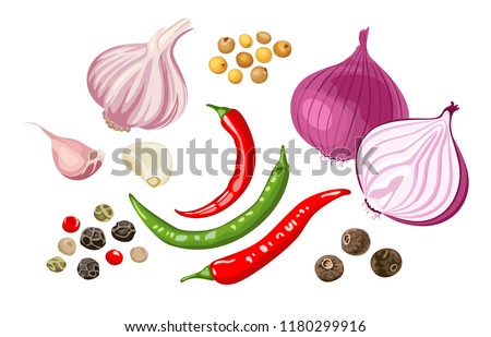Set of spicy spices and vegetables. Garlic, red onion, chili, dried peppercorns, allspice, pimento, mustard grains isolated on white background. Vector illustration in flat style. Royalty-Free Stock Photo #1180299916
