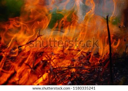 Red Fire Image