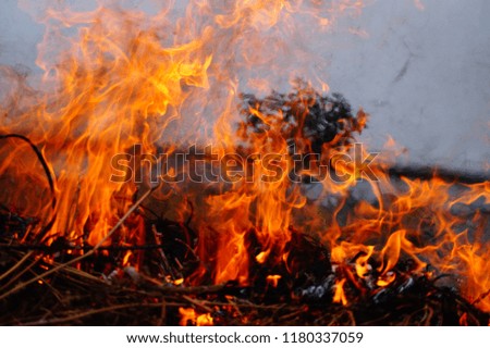 Burning Fire image
