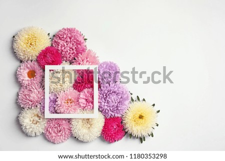 Beautiful aster flowers and picture frame on white background, top view