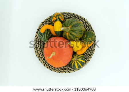 various pumpkin varieties in a decorative bast basket
Studio shot on white background, view from above