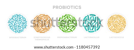 Set of probiotic bacteria. Good microorganisms concept isolated on white background. Propionibacterium, lactobacillus, lactococcus, bifidobacterium, streptococcus thermophilus, escherichia coli Royalty-Free Stock Photo #1180457392