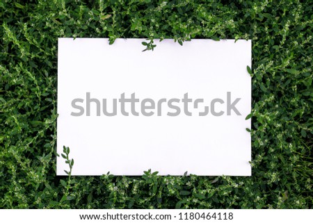 Frame of grass on a white sheet of paper.