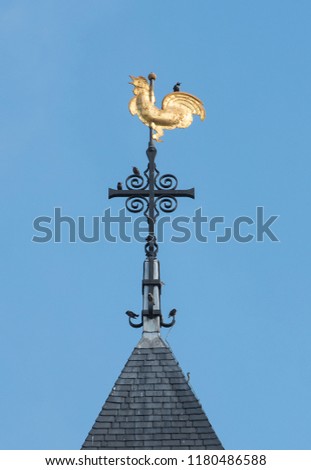 Birds resting on the golden weather cock on top of the roof of a church against a blue sky