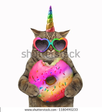 The cat unicorn is eating a big bitten rainbow donut White background.