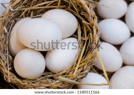 Organic duck eggs