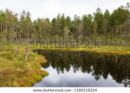Forest lake in taiga wilderness Royalty-Free Stock Photo #1180558204