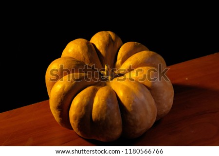 autumn harvest. orange pumpkin on a black background. the bottle is highlighted by a yellow backlight. a still life on Halloween. background for greeting card on Halloween. 