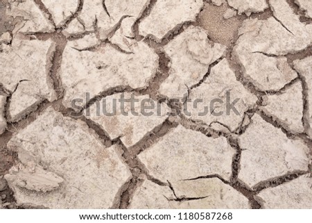 The surface of the dry soil is split by drought.The effect when no have the rain.