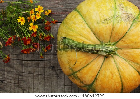 Fresh pumpkins decorated flower on wooden table, top view