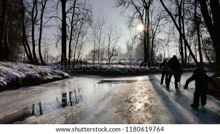 skating-walking on the ice in the forest