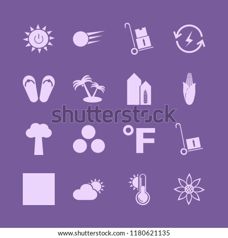 sunny icon. sunny vector icons set beach sneakers, snowball, solar power and palm trees