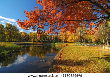 Beautiful autumn park with colorful trees. Branch with red leaves. Autumn landscape