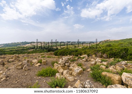 Ruins of the street of the Acropolis inside the archaeological park of Selinunte, an ancient Greek city on a seaside hill in the south west coast of Sicily.
