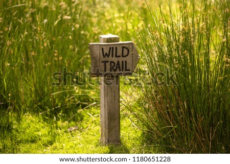 Wild trail in Wales