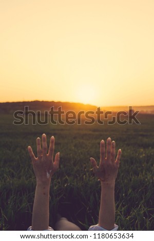 The June autumn sunscreen concept with the silhouette of the hands of a young, relaxing woman, meditating and holding the sunset on a warm, golden hourly sky. With the natural background of the field