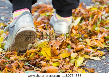 Children's feet on yellow leaves
