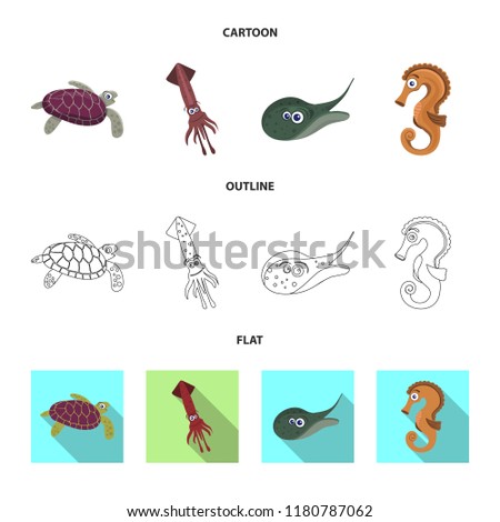 Vector illustration of sea and animal icon. Collection of sea and marine stock vector illustration.