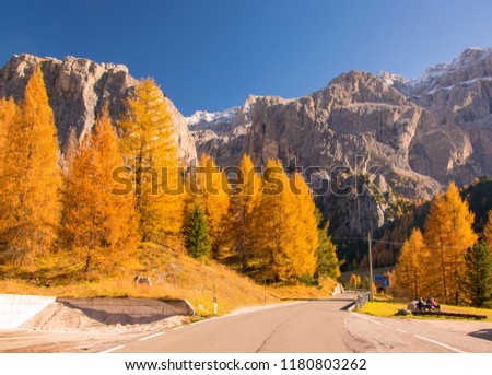 Scenic roadway in Dolomite Alps with beautiful yellow larch trees and mountains on background. Colorful autumn day in Dolomites, Selva di Val Gardena location, Italy